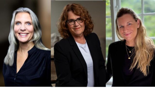 Jag samarbetar med Mia Lundin (HerPlace) och Maria Manderveld (Resonans) för att tillsammans adressera din hormonella balans, ditt nervsystem och din tarmfunktion.